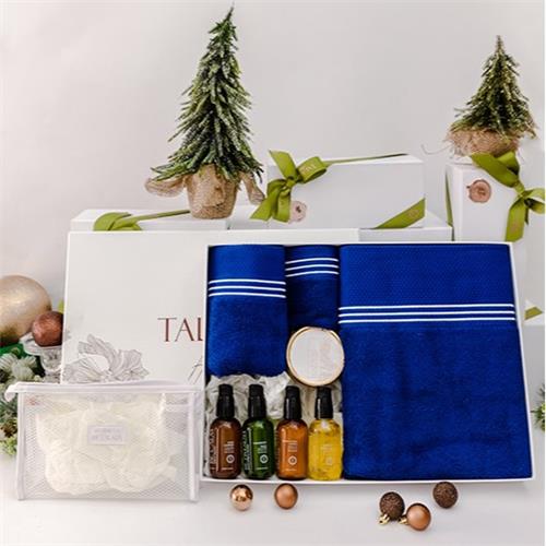 GIFT SET - 8 - Towel Set + Mini Travel Essentials - BLUE